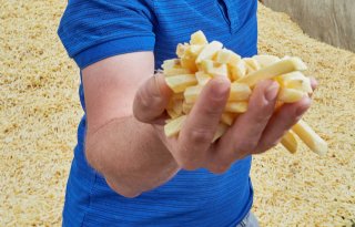 Welzijn+en+gezondheid+varkens+geborgd%3F