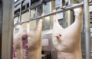 Japan+wil+weer+Belgisch+varkensvlees