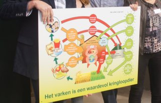 CO2%2Duitstoot+Britse+varkenssector+flink+omlaag