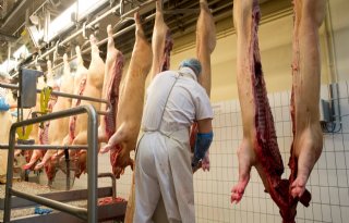Varkensvleesproductie+China+groeit+in+derde+kwartaal