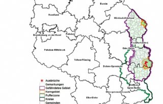 Risicozone+Afrikaanse+varkenspest+in+Brandenburg+is+vergroot