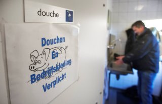 Prijs+voor+schoonste+douche+op+varkensbedrijf