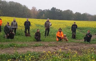 Met+honden+en+hekwerken+varkenspest+indammen