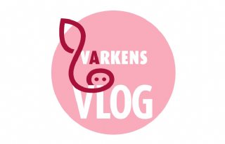 VarkensVlogs%3A+met+monitoren+kunt+u+verder+gaan+dan+u+denkt