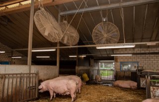 Ventilatoren voor verkoeling op de Tolakker 