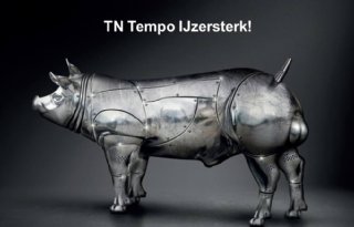 Aanpak+Topigs+Norsvin+om+natuurlijke+robuustheid+te+verbeteren+loont