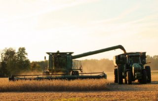 Agrifirm+verwacht+gunstige+prijsontwikkeling+soja