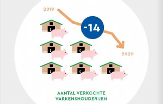 Te+verkopen+varkenshouderijen+fors+lager