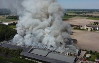 Grote+brand+in+Nederweertse+stal+met+4%2E600+varkens