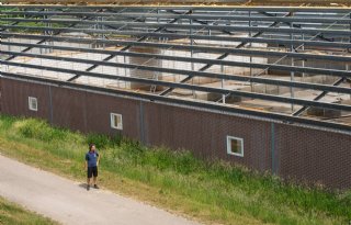 Stikstofclaim+start+rechtszaak+voor+meer+zekerheid+bij+intern+salderen