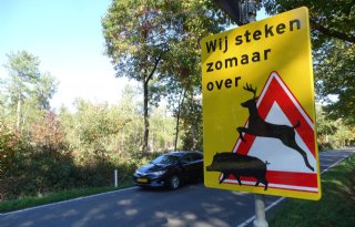 Toestemming+voor+interventieteam+wilde+zwijnen