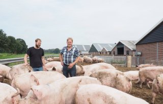 Van+blanco+naar+bedreven+biologisch+varkens+houden