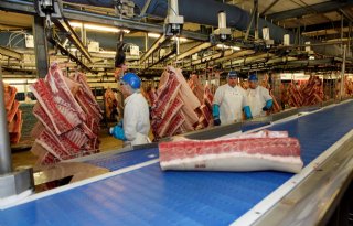 Recordexport+van+varkensvlees+in+Brazili%C3%AB