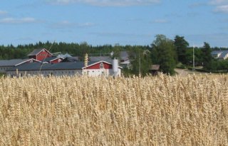 Onderzoek+in+Finland+naar+welzijnseisen+en+genetica