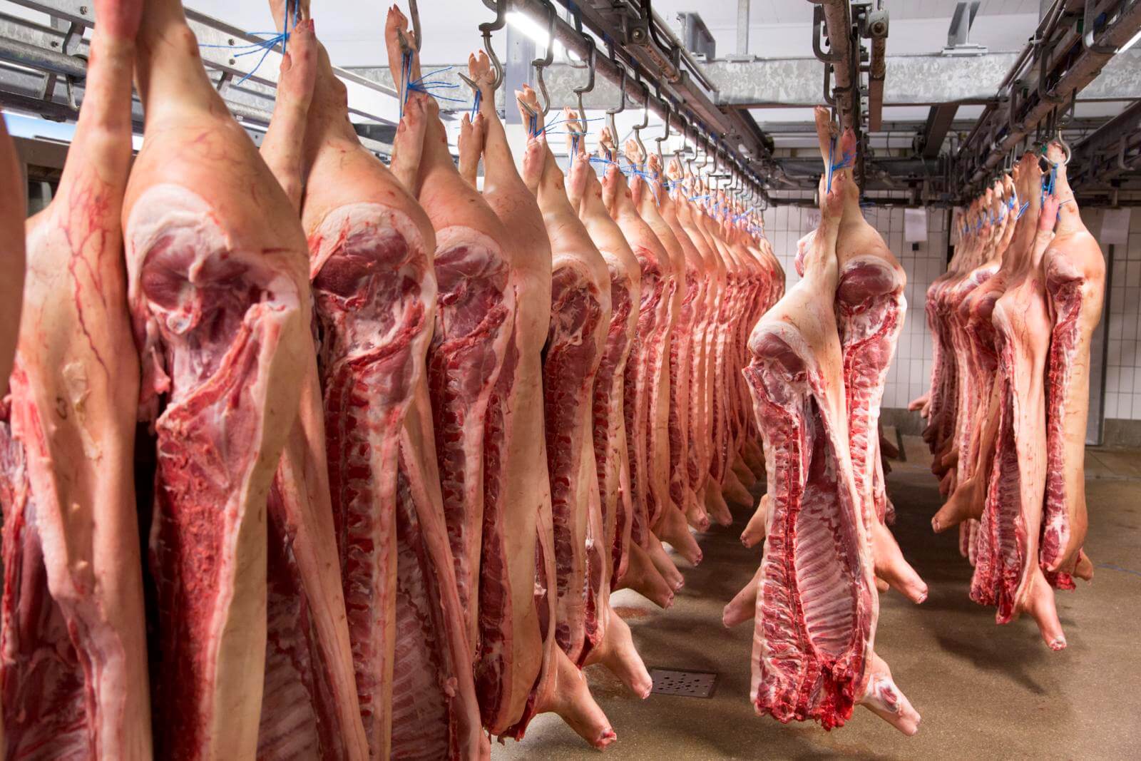 Geen+nieuwe+opslagregeling+varkensvlees