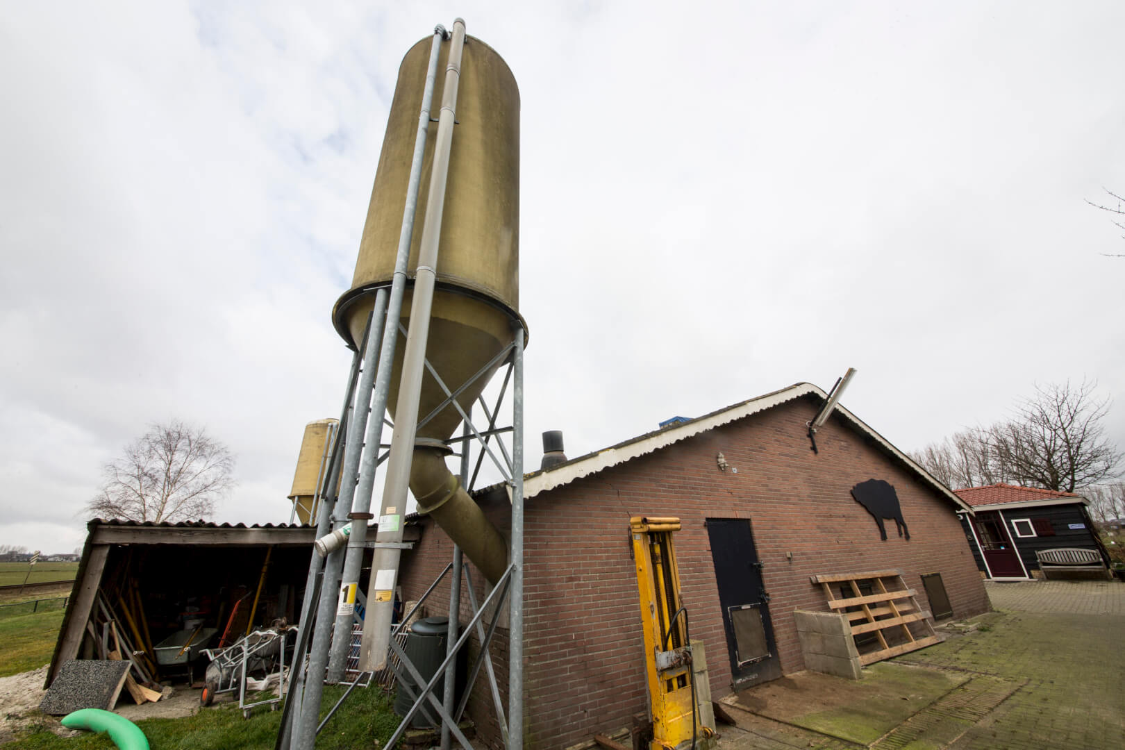 De 40 jaar oude varkensstal met twee voersilo's herbergt 500 vleesvarkens. 