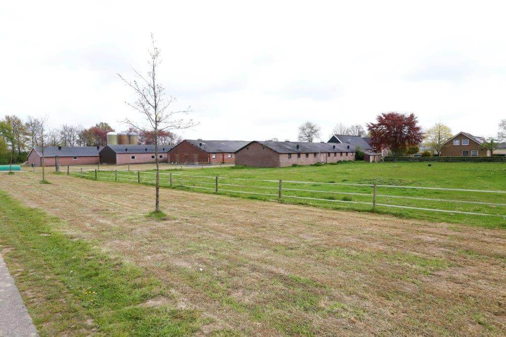 Vooraan de stal voor dragende zeugen, daarachter de kraamstal, stal voor gespeende biggen en de vleesvarkensstal. Straks zijn er alleen nog gespeende biggen en vleesvarkens op het bedrijf. 