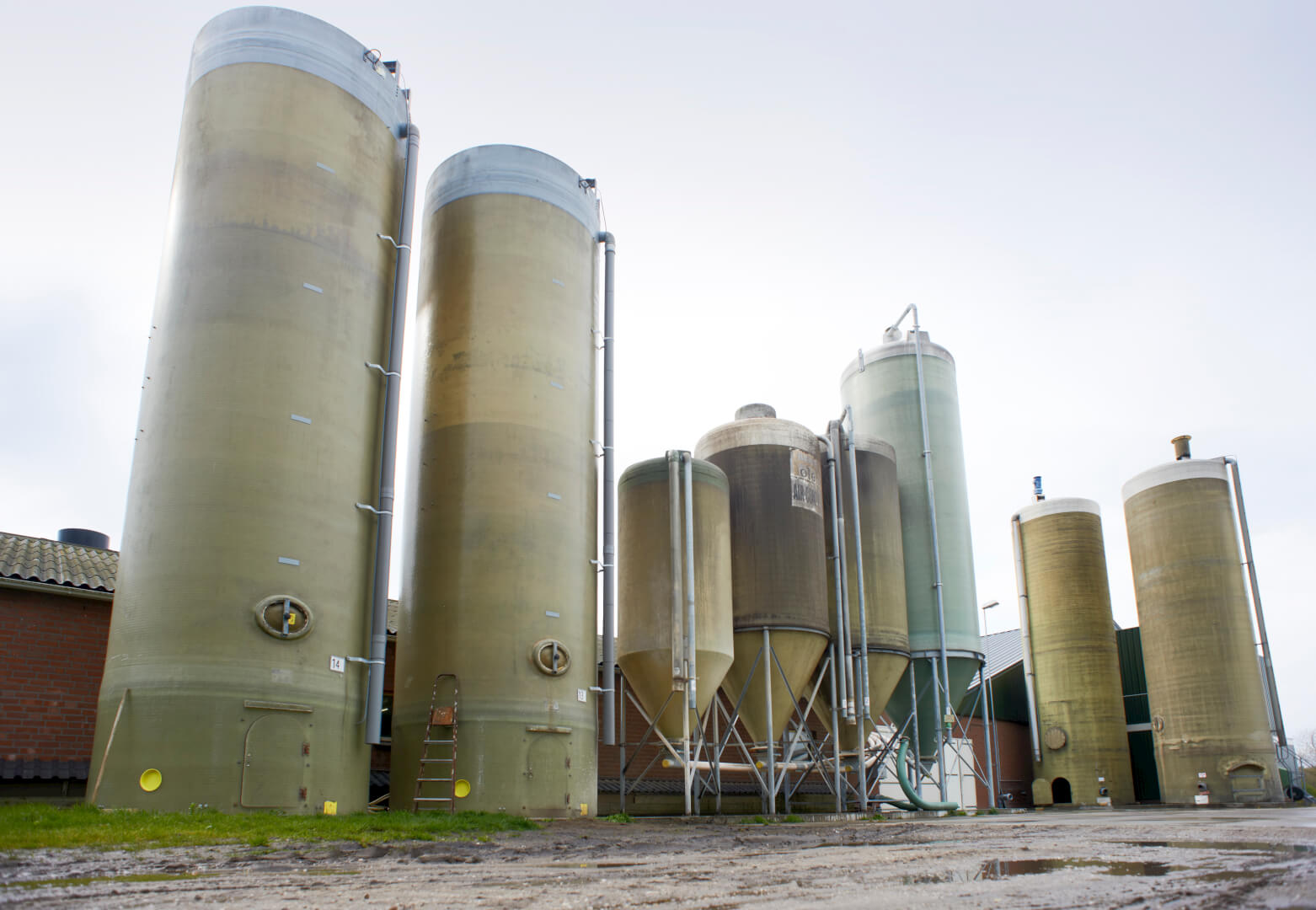 Poels zet verschillende safe bijproducten in: Biergist, Tarwezetmeel premium, tarwegistconcentraat, Broodmelange (zoet en energierijk om biggen goed aan de brij te krijgen) en aardappelstoomschillen. 