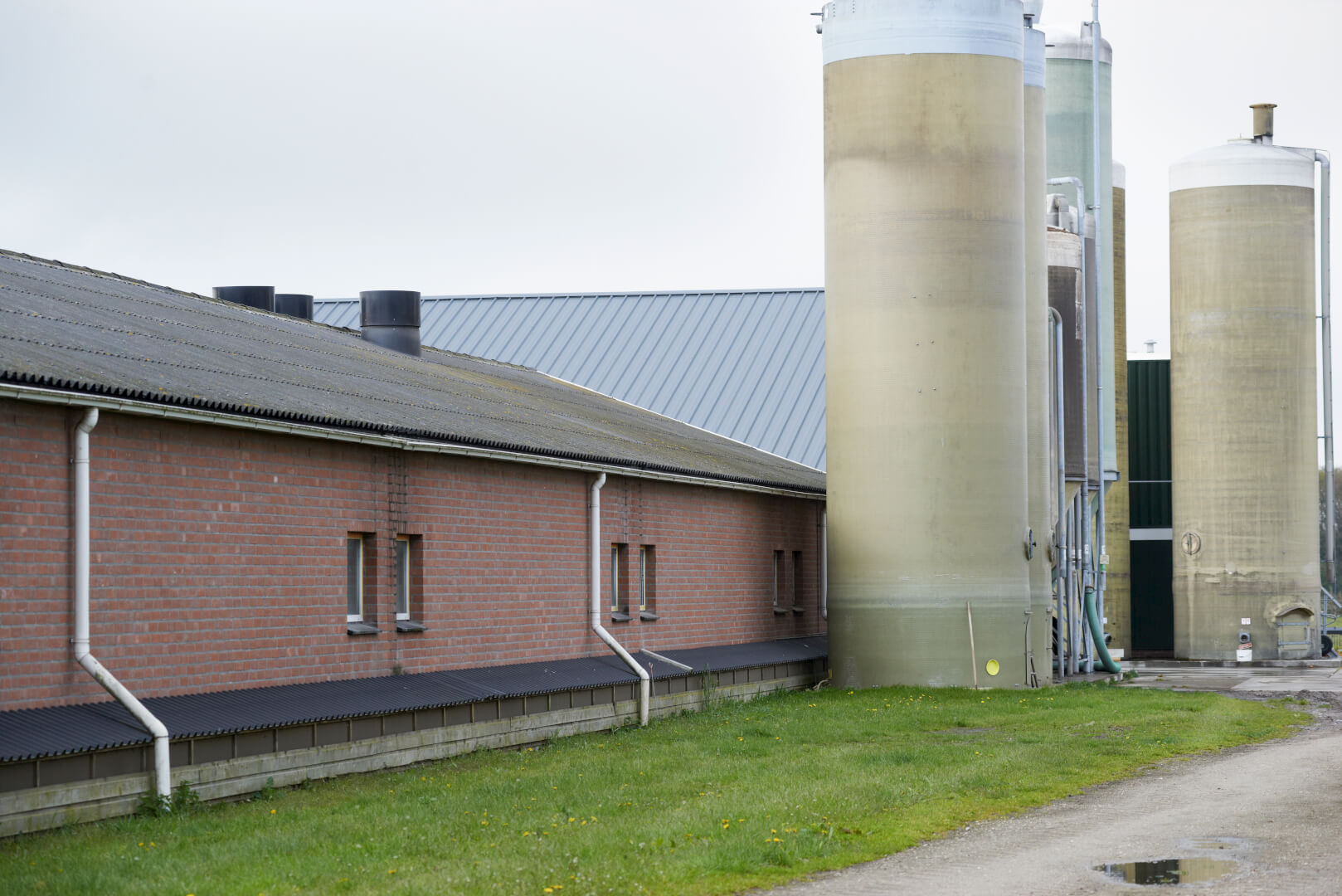 De verbinding tussen de oude vleesvarkensstal en de nieuwste stal is de voerkeuken. 