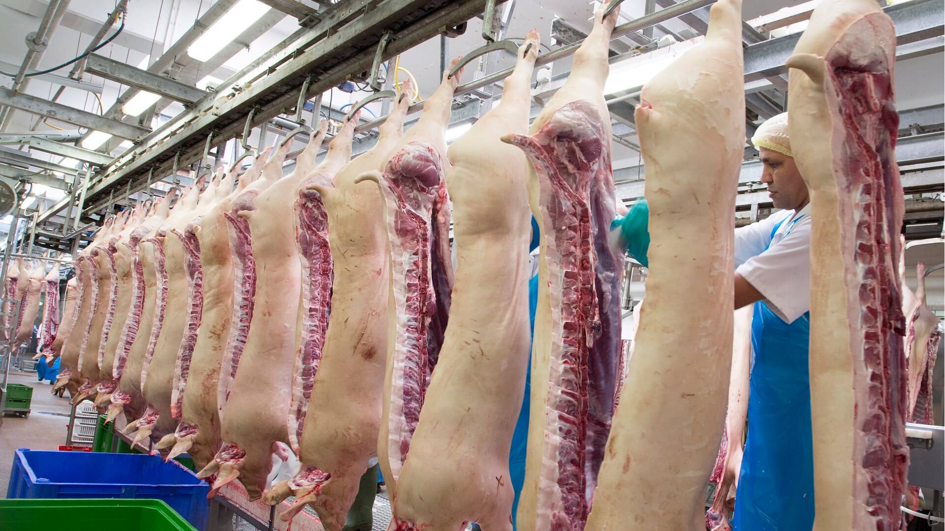 Verlies+in+2015+voor+Westfleisch