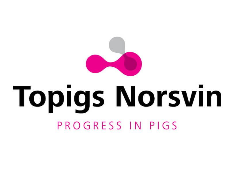 Topigs+Norsvin