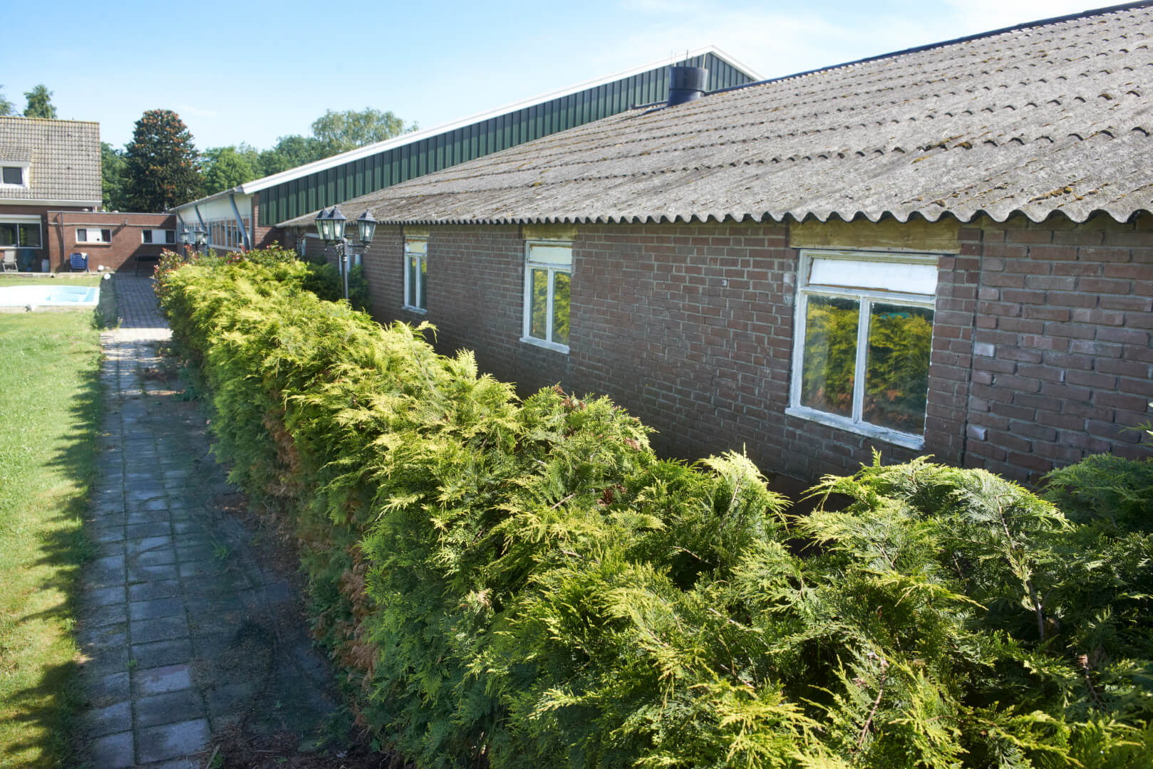 De rij coniferen zorgt voor beschutting van de luchtinlaat van de stal met mestpanventilatie. Groen breekt de wind en de schaduwwerking zorgt voor wat koeling. 