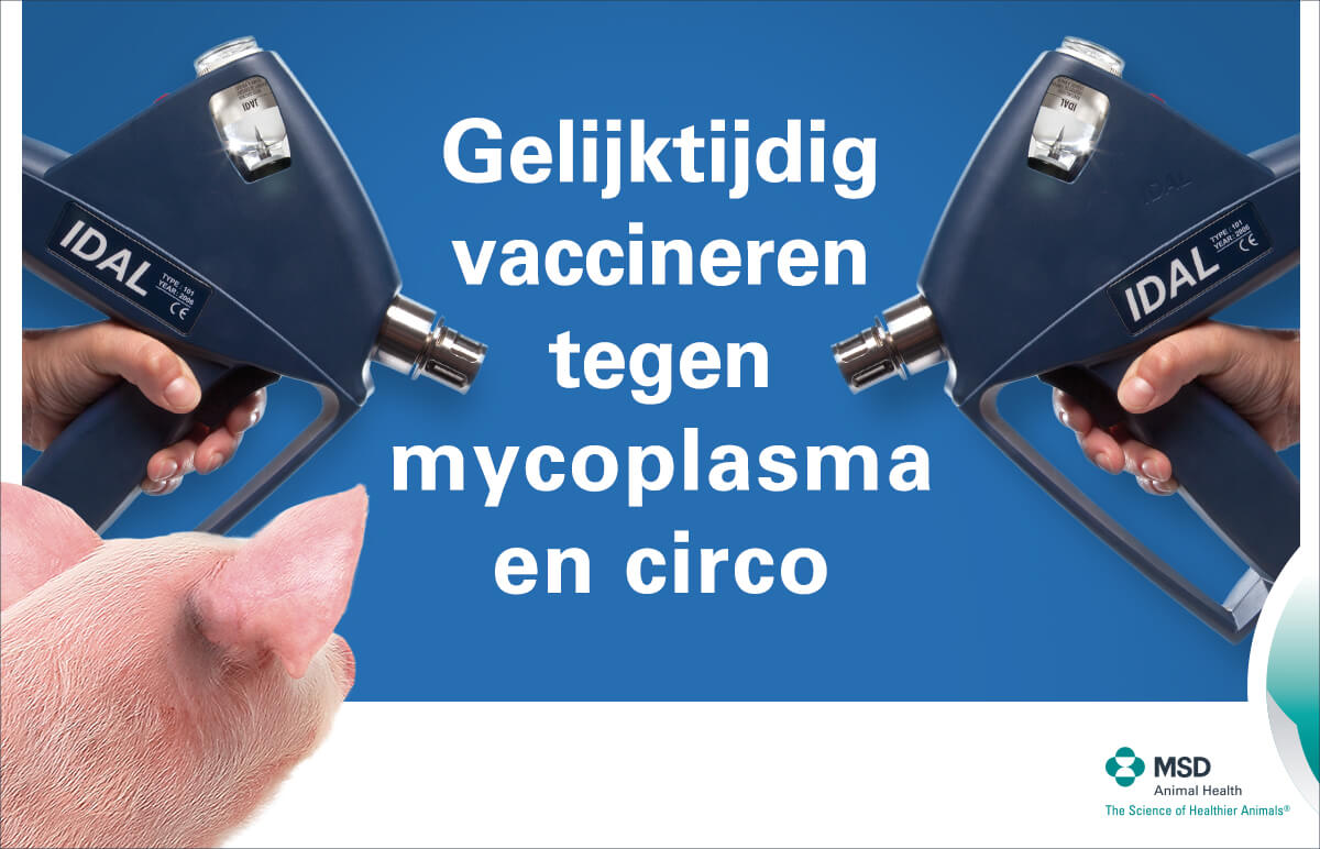 Stressreductie+en+tijdwinst+door+gelijktijdig+vaccineren