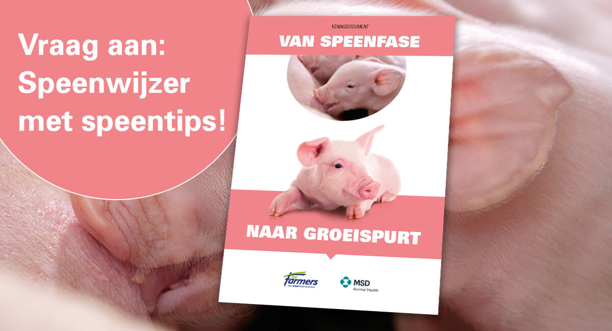 Dikke+speenwijzer+boordevol+tips+en+handige+vuistregels