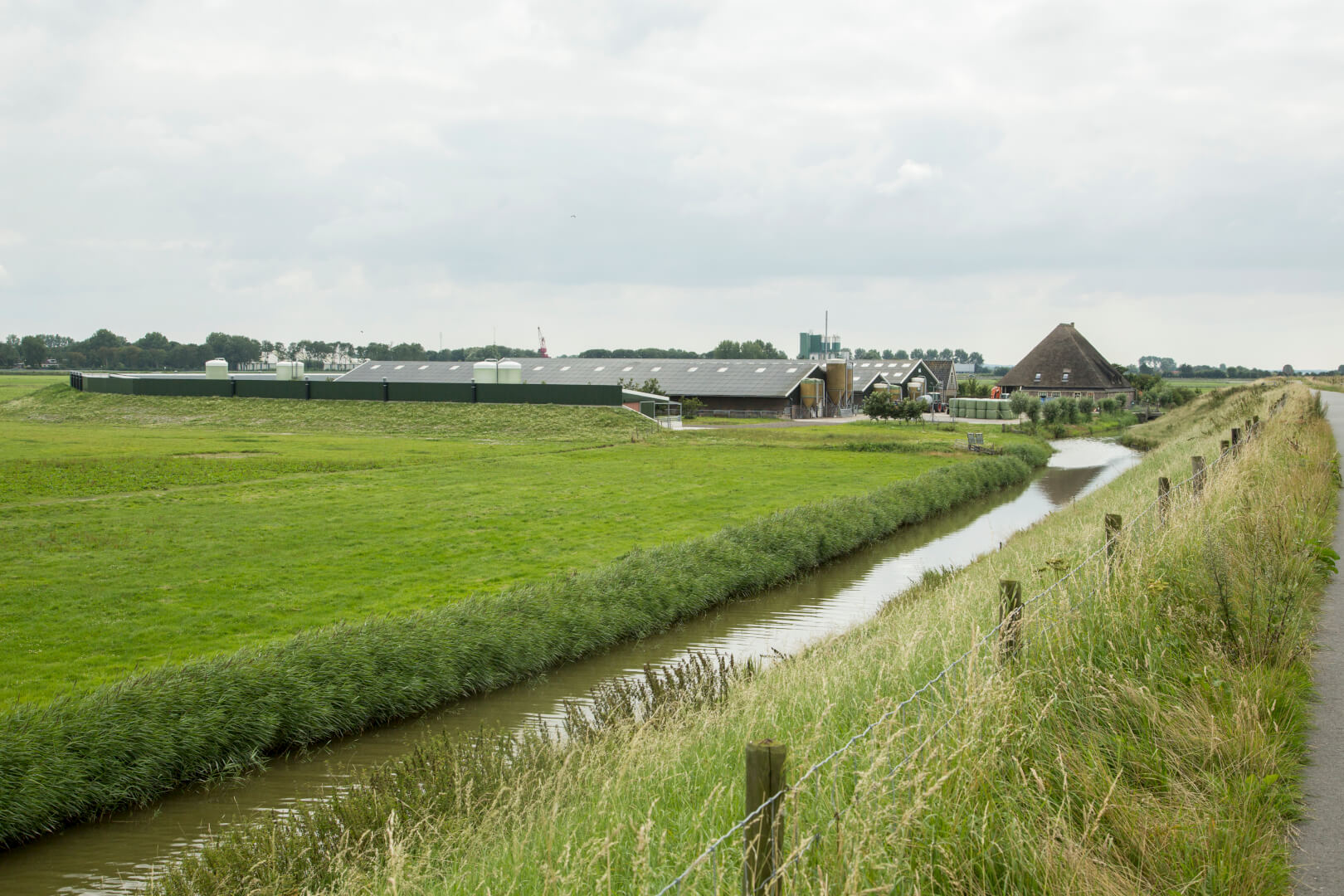 Het open varkensbastion van de familie Wennekers ligt in een typisch Noord-Hollands polderlandschap. Het biologische bedrijf is landschappelijk goed ingepast. 