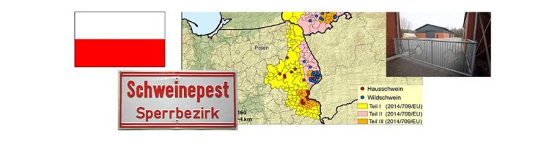 AVP+op+Pools+bedrijf+met+8%2E000+varkens