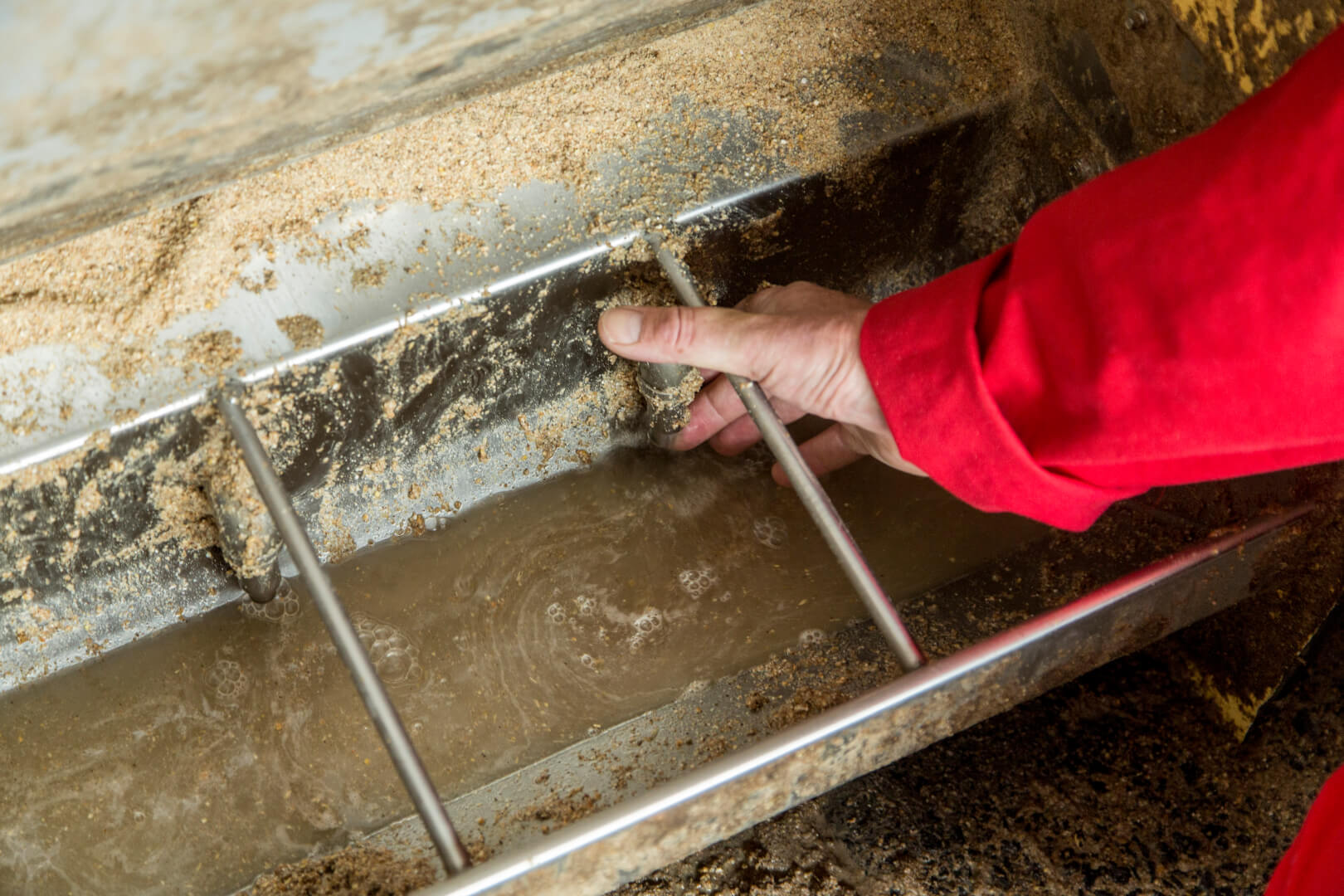 Een ruime en ongestoorde watergift is het credo van Janssens. Filters kunnen in zijn ogen hindernissen zijn. Een gift van 2,5 liter per minuut bij vleesvarkens vindt hij prima. 