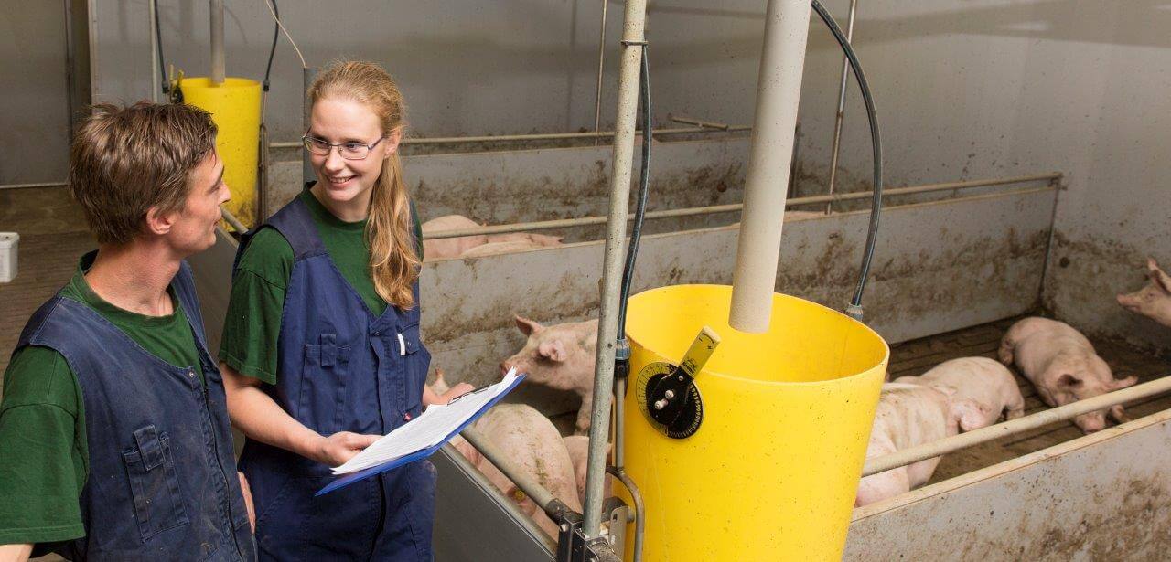 Het controlewerk en het checken van de voeropname is de taak van zowel Henri als Mariëlle. Om de overdracht van de werkzaamheden goed te doen schrijven ze alle bevindingen op. Dat werkt het makkelijkst. 