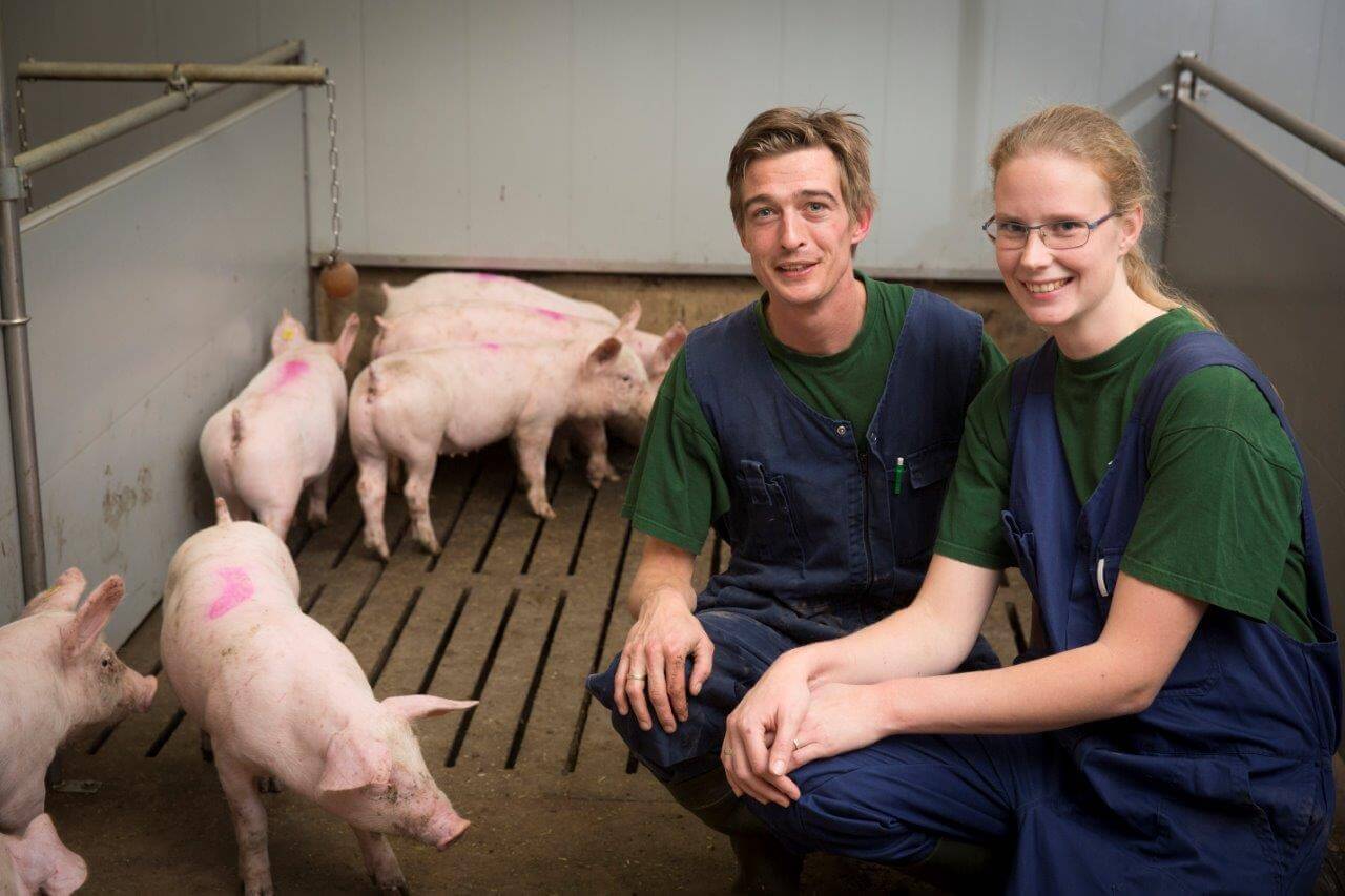 Henri en Mariëlle Wolswinkel houden 1.350 vleesvarkens in een zes jaar oude vleesvarkensstal. Sinds februari 2016 zijn ze overgestapt naar het KDV-concept. 
