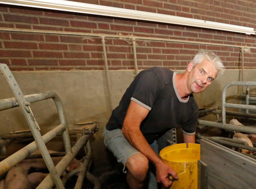 Varkenshouder Rob Hilkens test in een kraamafdeling verschillende voerbakjes op gebruiksgemak en efficiënt voeren van brij en droogvoer. 