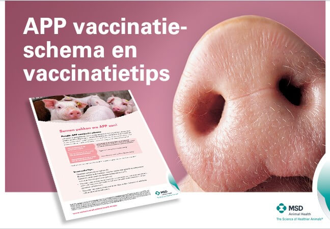 Diagnose+APP+gesteld%3A+lees+deze+vaccinatietips%21