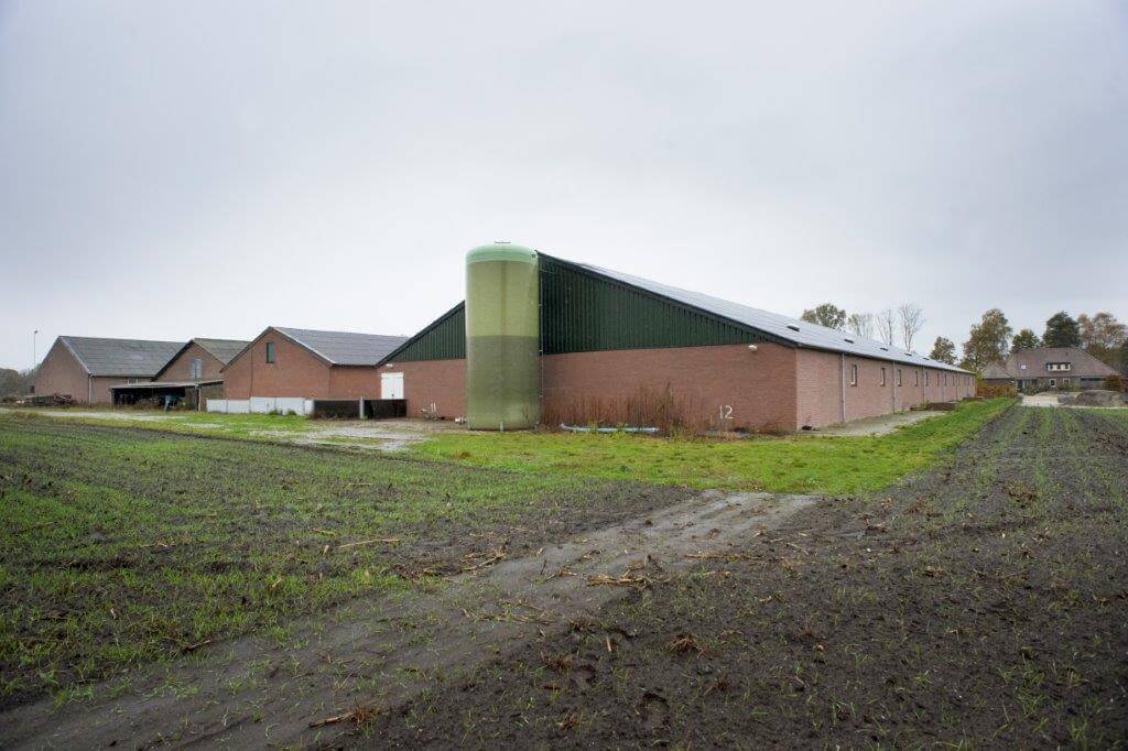 Het bedrijf van Guido van Loon, met rechts vooraan op de foto de vleesvarkensstal. 