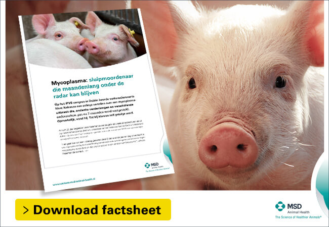 Praktijkverhaal%3A+mycoplasma+in+de+stal%2C+zonder+dat+iemand+het+door+had%2E
