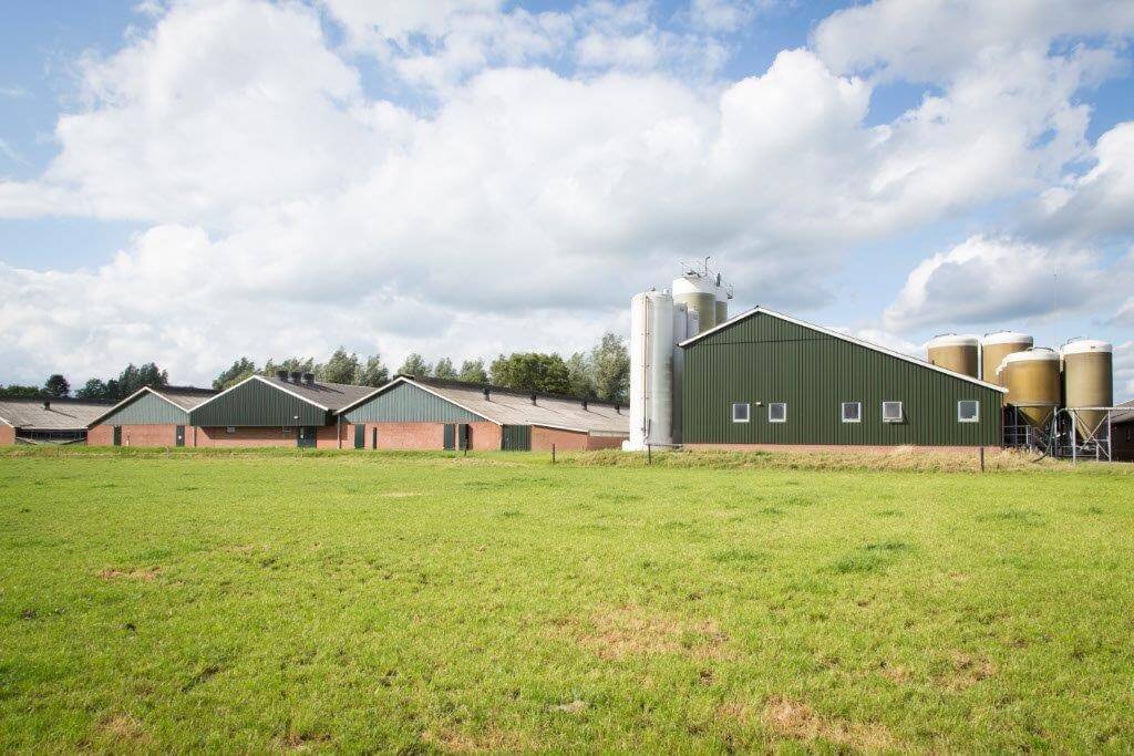 De brijvoerkeuken (rechts) wordt omringd door maar liefst elf bijproductensilo’s, waarvan er tien in gebruik zijn. Door de omvang van het bedrijf kan de Drenthehoeve veel bijproducten verwerken. De doorloopsnelheid is hoog. 