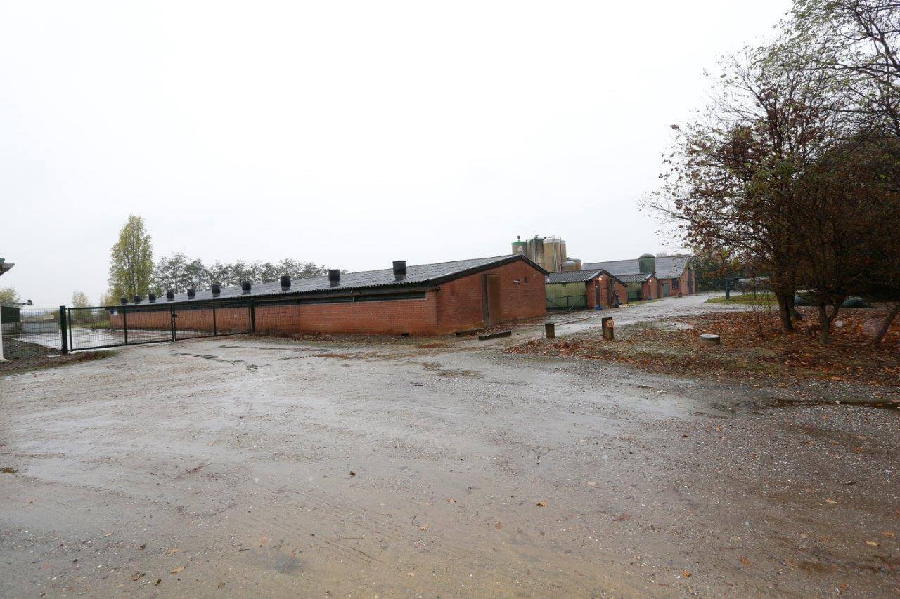 De drie functionele maar oude stallen met 1.200 vleesvarkens kosten evenveel arbeid als de nieuwere stallen op die locatie met in totaal 5.500 dieren. 