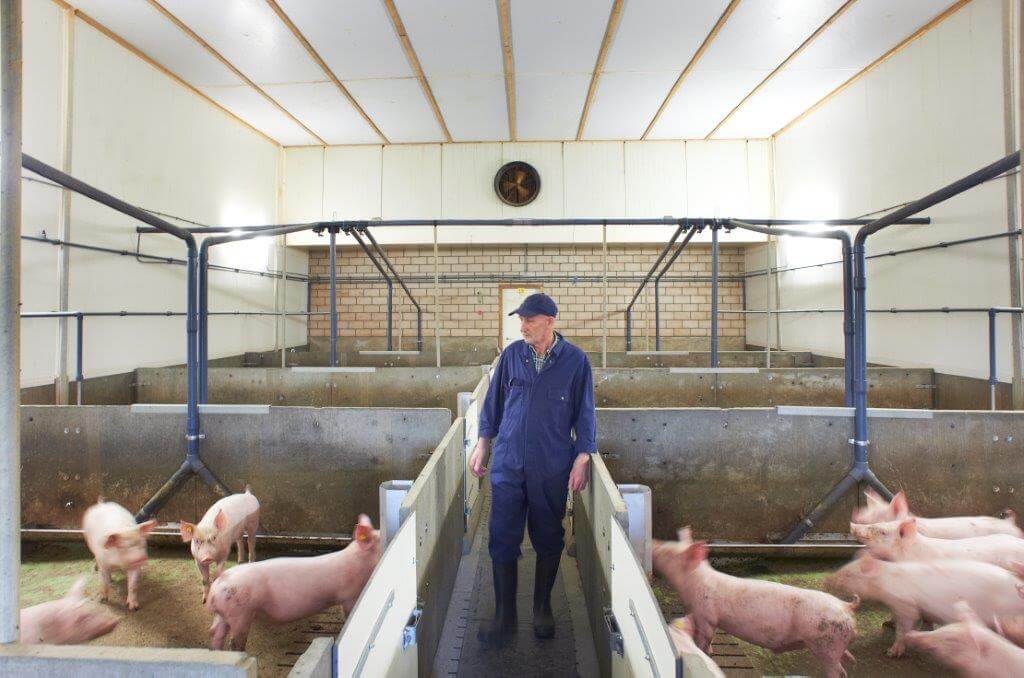 De afdelingen hebben onderaanvoer van de verse lucht en een hoog plafond. Het  klimaat is mede hierdoor prima. 