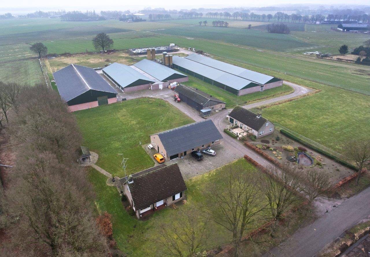 Het SPF varkensbedrijf van Van Selst van bovenaf gezien. Linksachter bevindt de strostal voor drachtige zeugen, middenachter de kraamstal en de biggenopfok. Rechtsachter zijn de stallen met vleesvarkens. Rechts buitenom ligt de vuile weg. Een keurig georganiseerd erf! 