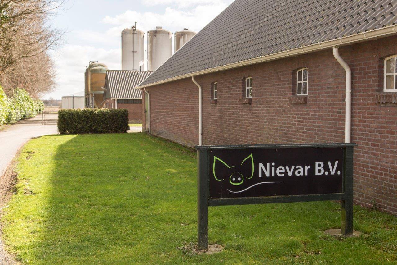 De eerste indruk van de oprit en het erf bepaalt voor een belangrijk deel het imago van een varkensbedrijf. Bij Nievar is de netheid prima op orde. 