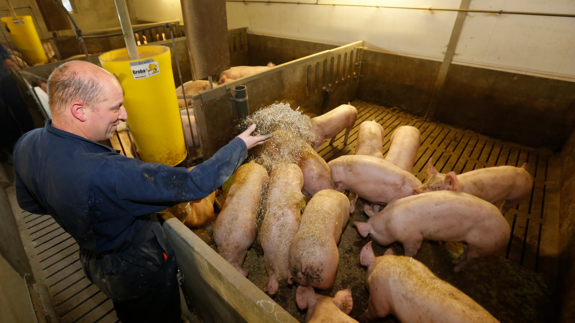 Tien+varkenshouders+AH+Buitendag