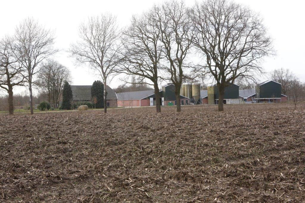 De stal voor de gespeende biggen en twee stallen voor vleesvarkens. Er zitten 95 procent luchtwassers met een hoge uitlaat op. 