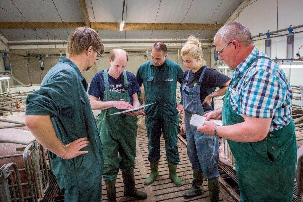 De vruchtbaarheidsresultaten zijn prima met een afbigpercentage van ruim boven de 90 procent. Van Essen ziet in de resultaten een dip in het aantal herdekkers, maar dat is volgens Mario alweer voorbij. 