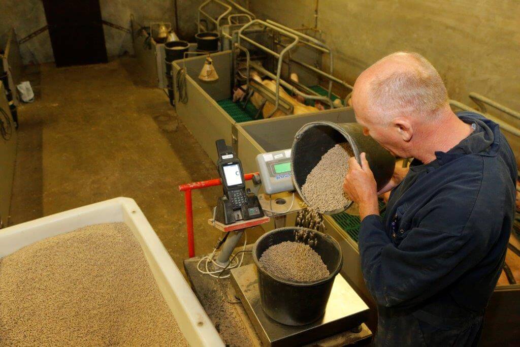 Medewerker Jaap weegt iedere portie voer voor de kraamzeugen af en legt dat vast. In een afdeling krijgen de zeugen vaak verschillende voersoorten in verband met een van de vele proeven die er op het bedrijf lopen. 