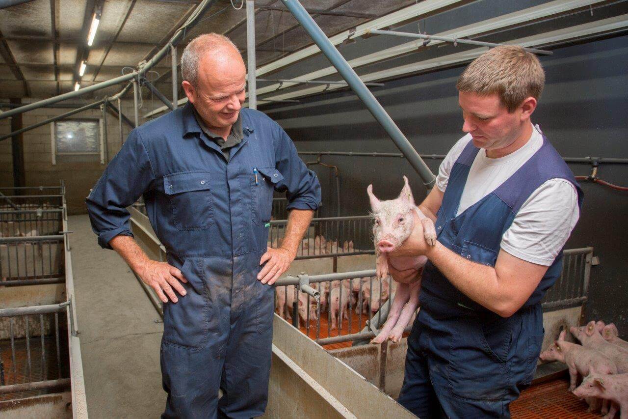 Alles staat of valt met gezonde dieren. Het werkt soepeler en de technische resultaten zijn beter. 