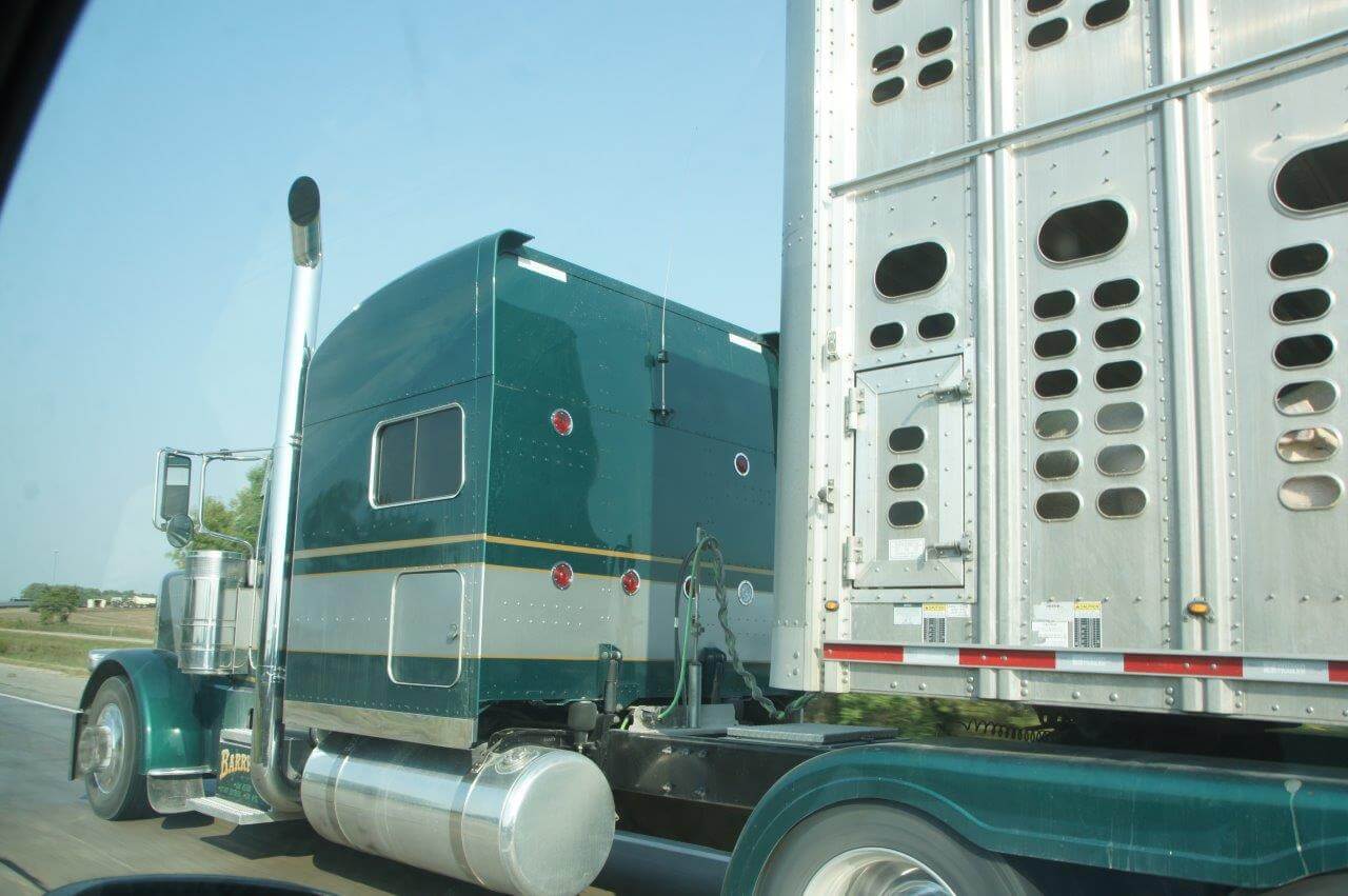 Zware trucks vervoeren varkens naar één van de 13 slachterijen in de staat Iowa (3,5 keer zo groot als Nederland). 