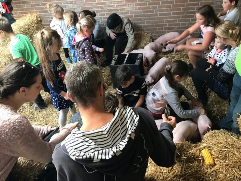 POV+gaat+zelf+promoten