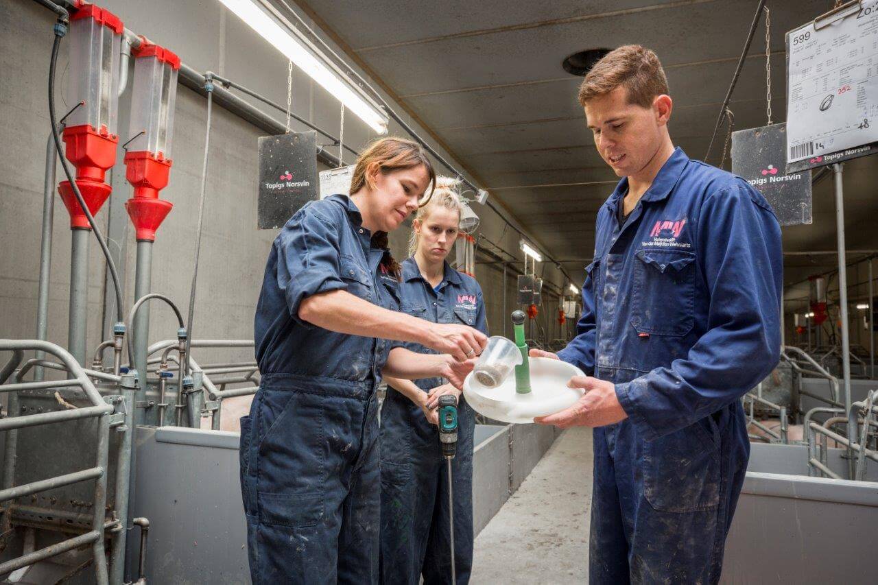 Het opleiden van vakkundig personeel gebeurt ook in de stallen bij Van der Meijden - Welvaarts. Het schoonmkaen van voerbakjes en gestandaardiseerd vullen behoort tot de oefenstof. 